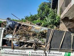 Same-Day Junk Removal Services in New Brockton, AL